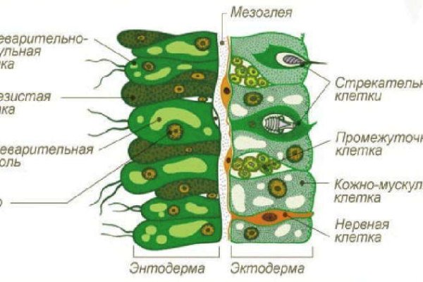 Кракен вход официальный сайт