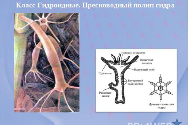 Кракен даркнет площадка ссылка